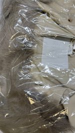Zara КУРТКА С ВОРОТНИКОМ ИЗ ИСКУССТВЕННОГО МЕХА — коллекция Zara «ZW» Ecru | 3811/243/712