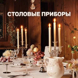 Столовые приборы Zara
