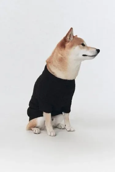 Теплый свитер для домашних животных ZARA «SOSHIOTSUKI»
