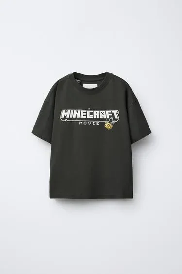 Футболка с принтом MINECRAFT © MOJANG AB. ™