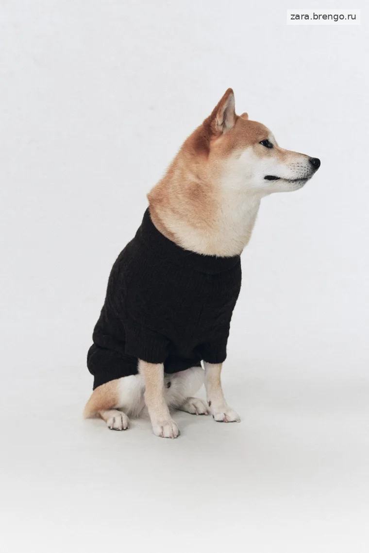 Теплый свитер для домашних животных Zara «Soshiotsuki»