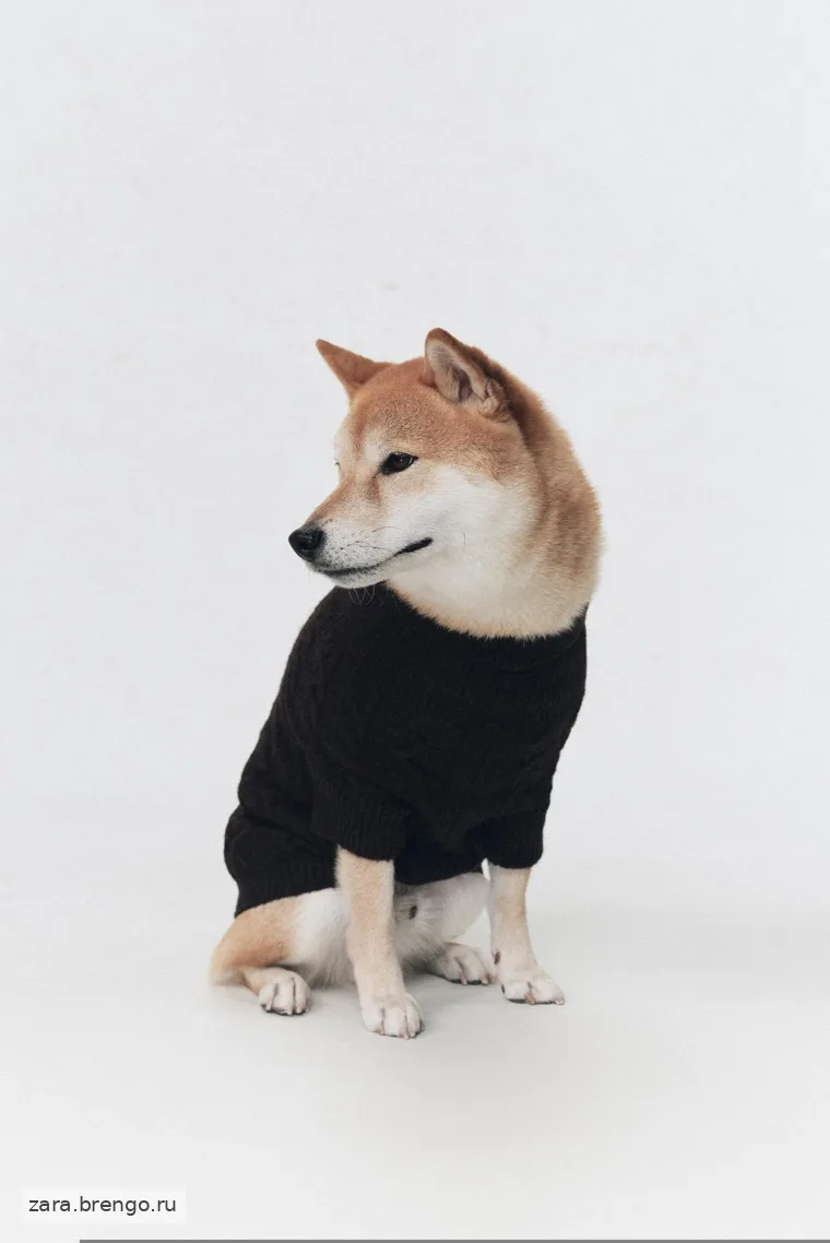 Теплый свитер для домашних животных Zara «Soshiotsuki»