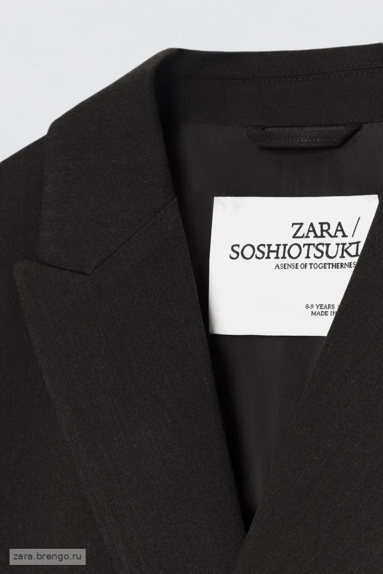Пиджак приталенный с двубортной застежкой Zara «Soshiotsuki»