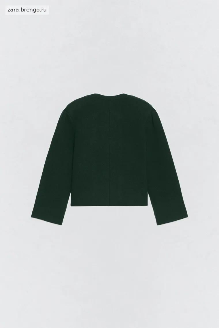Жакет с плечевыми накладками из шерсти Zara «Soshiotsuki»