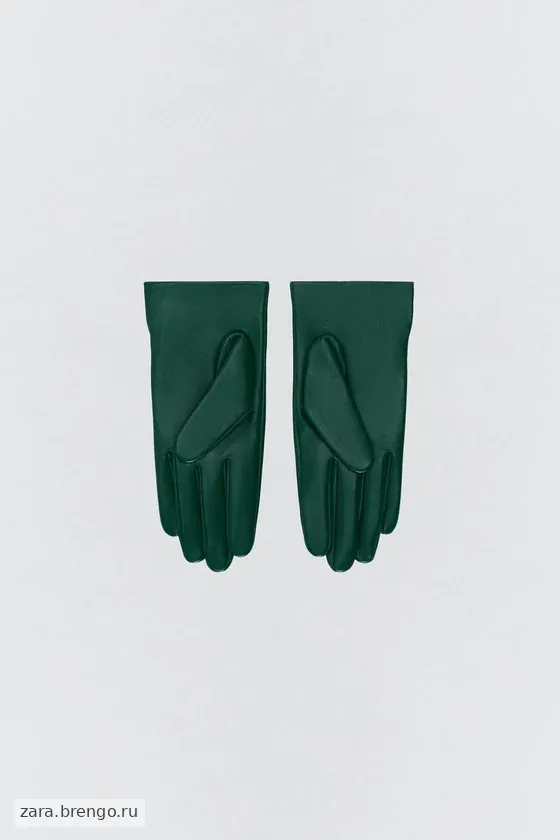 Кожаные перчатки с вышивкой Zara «Soshiotsuki»