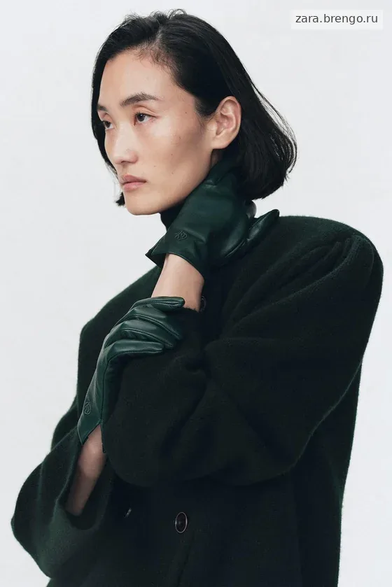 Кожаные перчатки с вышивкой Zara «Soshiotsuki»