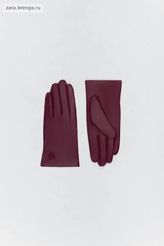 Кожаные перчатки с вышивкой Zara «Soshiotsuki»