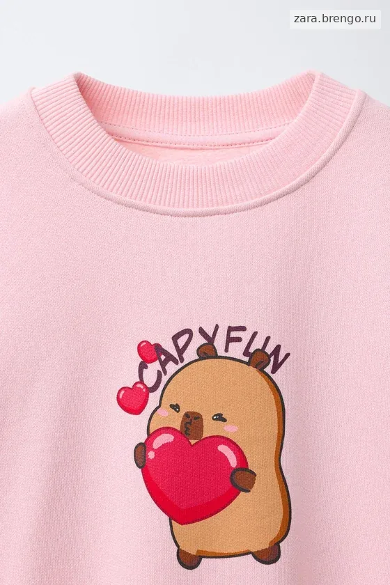 СВИТШОТ КАПИБАРА CAPYFUN ©