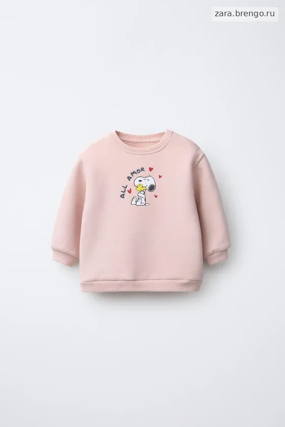ТОЛСТОВКА С ВЫШИВКОЙ SNOOPY PEANUTS™