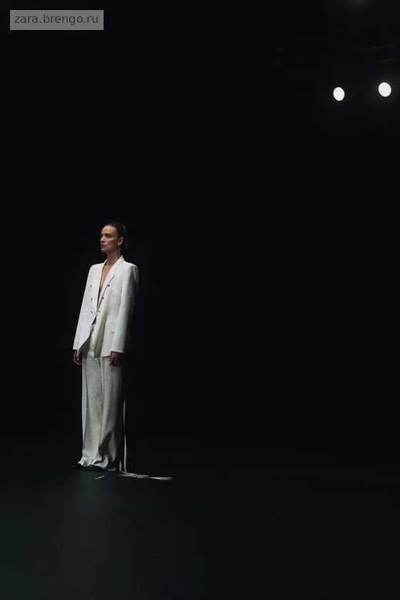 ДВУБОРТНЫЙ БЛЕЙЗЕР С ПОДПЛЕЧНИКАМИ — коллекция Zara «ZW»