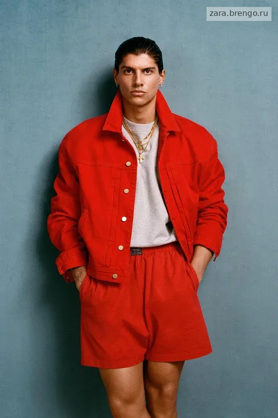 Шорты-бермуды с вышитым логотипом willy chavarria x zara