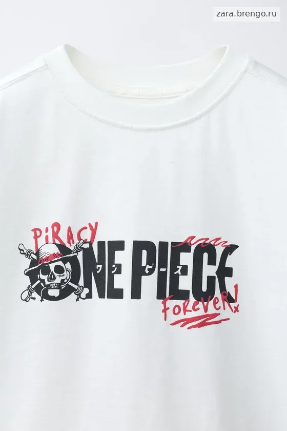 ФУТБОЛКА ONE PIECE NETFLIX ©